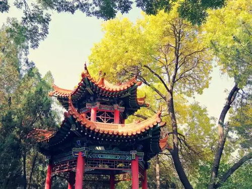 #双塔寺# —— 小众却充满惊喜