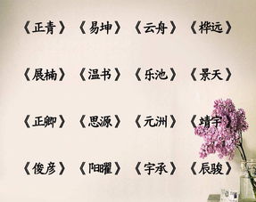 别出心裁的起名思路：“以内化美良好期望”）