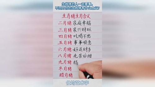 月指什么生肖？月代表哪个生肖？