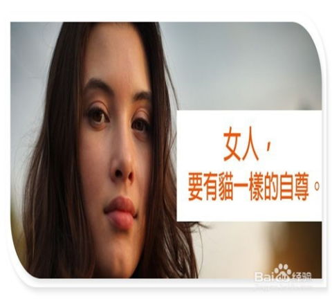 第一节：生肖与自尊的错位