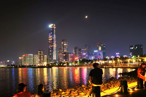 第五站：深圳湾夜景