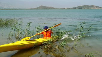吃饭问题？呵呵！