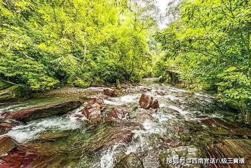 第三站：较深度体验 – 不仅仅是观光