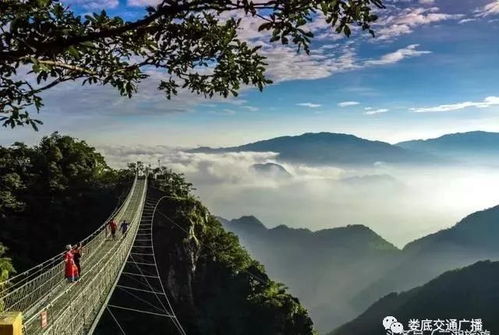 交通篇：活着到达就是奇迹