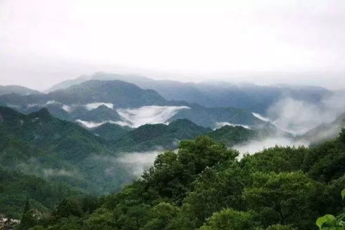闾井柯汰沟奇石风景区：石头嘛...
