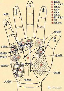 我家的手机打死都不让拍照：那一些惊天手相
