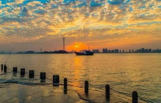 第三天：浪漫情怀（虚假的！）