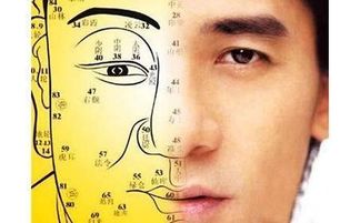 手掌如绵：细腻周到