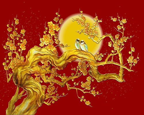 风水摆设之迷惑行为大赏