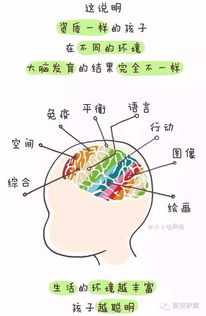 三、生肖与星座怎样映射到“偏侧”设计？（有点耍酷）