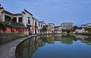 第一站：滇池大坝，看红嘴鸥打架