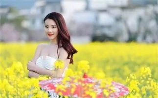 赏花路线：别错过这些