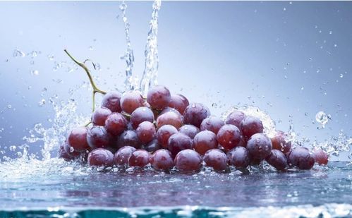 2.2 牛——压榨梦境机