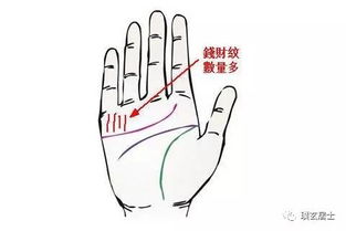 75年兔手相和87年兔大运一览表分别有哪些特点？