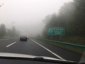 八、 随机噪音段落——完全无关信息填充篇幅