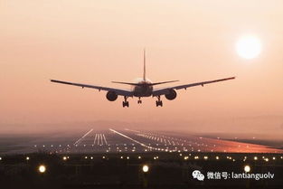 游玩旺季的陷阱：便利还是拥挤？