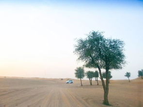 死海日落躺躺，不挤浮水打卡，旅游新体验！