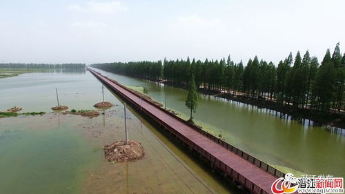 潜江湿地：被“刻板印象”耽误的“生态反叛者”