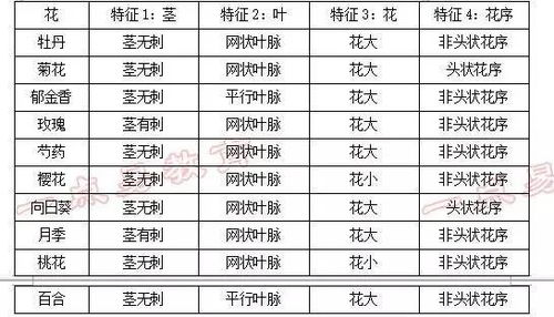 2、名字较小清的意义：(这才是沉重点！)