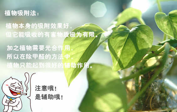 火象星座：白羊、 狮子、射手的净化之道