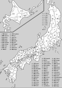 风水命理角度解读：为哪些选择用