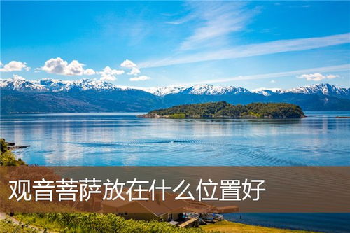 当代年轻人的佛系养植