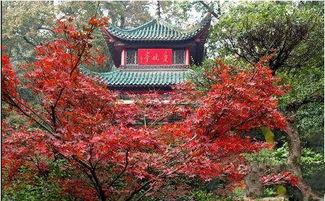 震惊！江苏居然藏着个