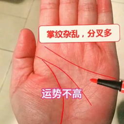 四、风水视角下的混沌之谜——家居布局怎样配合？