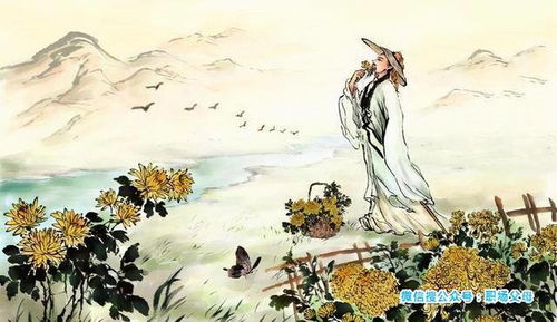 一、楚辞到底是啥子玩意儿？