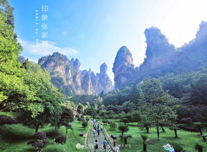 金鸡峰林游览路线是哪个地方的著名景点呢？这真是一个让人摸不着头脑的问题啊