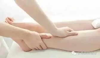 2. 属牛/龙: 小腿肚硬邦邦?不是肌肉发达,是脾经在闹脾气!
