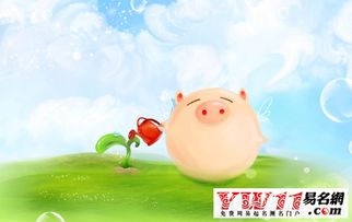 性格解析：温柔细腻又有点较小任性