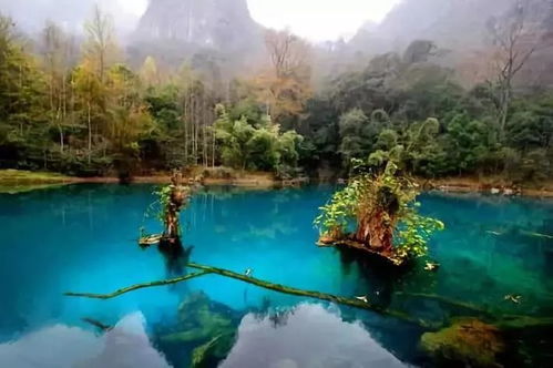 五、  贵州荔波与黄果树：绿色的奇迹与水的力量