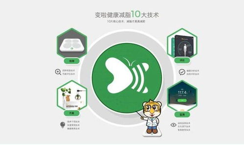 如何通过科学方法精准分析运势，实现高效转运？