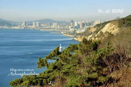 路线A：滨海路“经典款”——堵到你怀疑人生