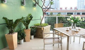 适合种植的植物：那些“旺夫” “旺财” 的家伙