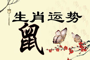 **三十而立:岁月的沉淀与自我反思**