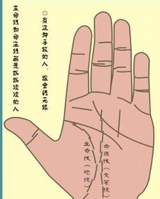 没有命运线的人事业容易遇到波折