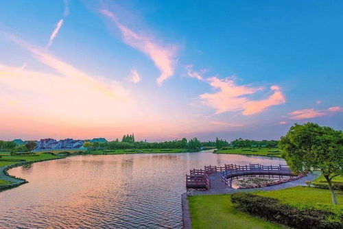 香谷公园：一个充满谎言的美丽陷阱