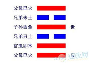 上九：白贲， 无咎——最纯粹的白，是雪还是奶酪？