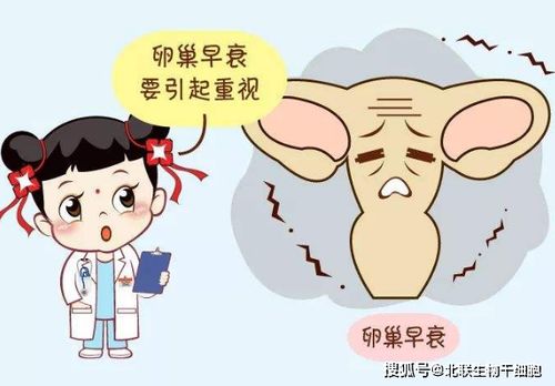 2.5 心理状态调节与情绪管理——精神层面层面的护盾建设师