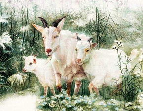 属羊感情算命大师女生名字，属羊的女人最旺夫的微信名字叫什么？