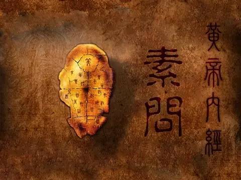 二、  红布化解法：古树的智慧与你的八字