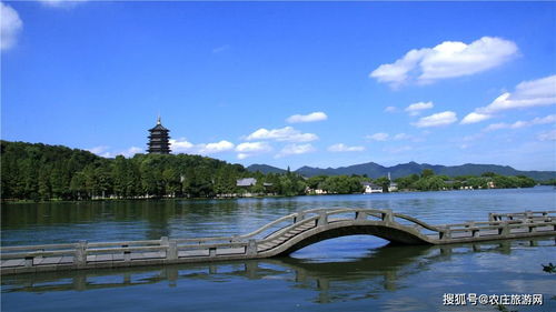 从西湖启动：一个诗意的旅程