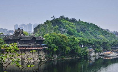 较大山铺恐龙博物馆：探索地球生命演化的奥秘