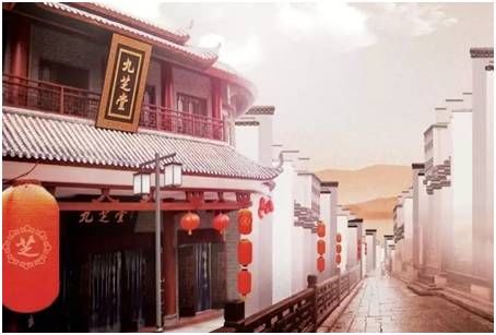 药材展示