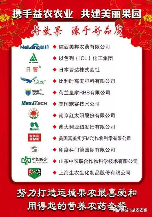 真实体验：我在这里玩疯了