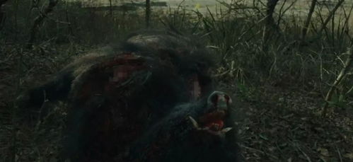 第二章：夜半惊魂