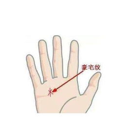 手相中哪些特征预示着有望成为亿万富翁？