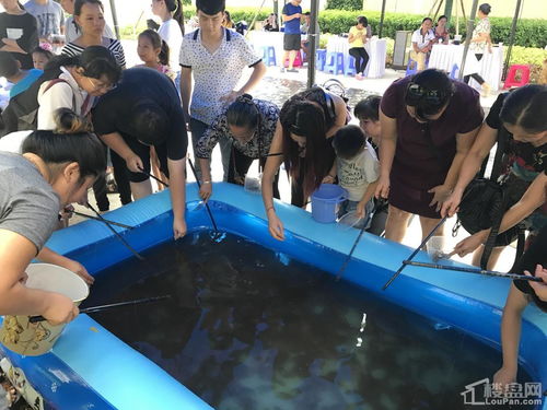 评测：到底有意思吗？答案是…呃…不确定？